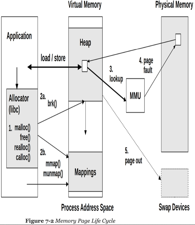 Memory Page Life Cycle